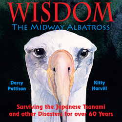 Wisdom, the Midway Albatross by Darcy Pattison