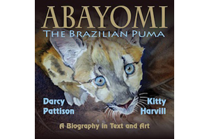 ABAYOMI cover