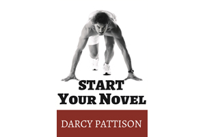 START YOUR NOVEL: A Fiction Notes book